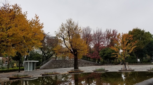 20191111_085840.jpg