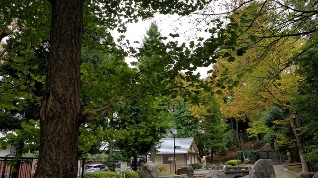 20191113_104010.jpg