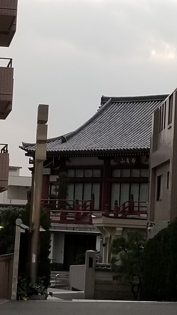 20191119_163156.jpg