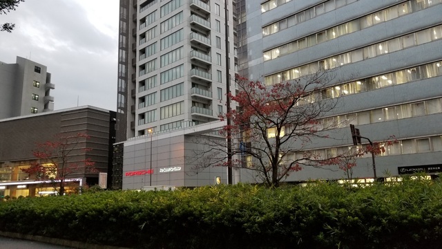 20191119_163547.jpg