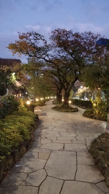 20191119_165513.jpg