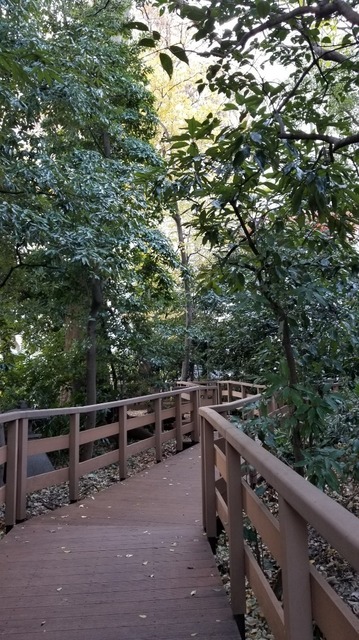 20191215_140721.jpg