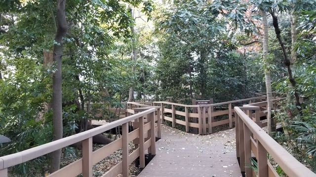 20191215_140737.jpg