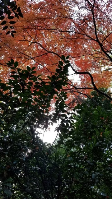 20191215_140829.jpg