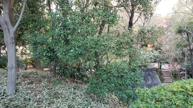 20200109_154456.jpg