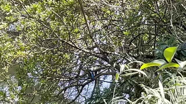 20200319_143538.jpg