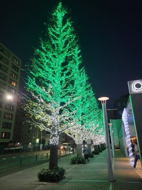20230105_171744.jpg