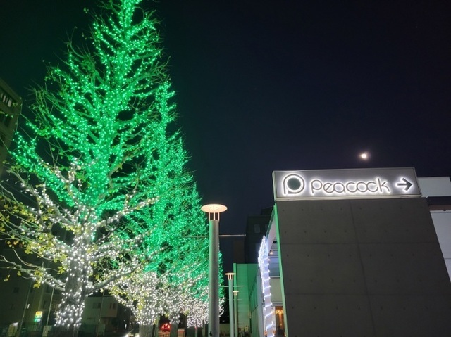 20230105_171828.jpg